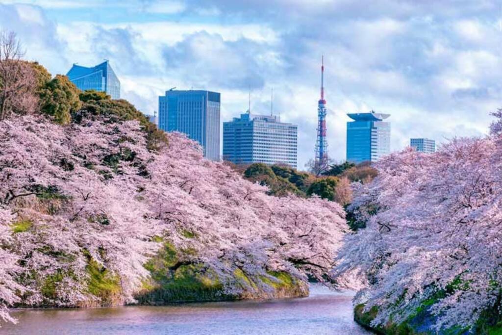 Tokyo'S Best Spot Shibuya! 3Person Room Free Wi-Fi Extérieur photo