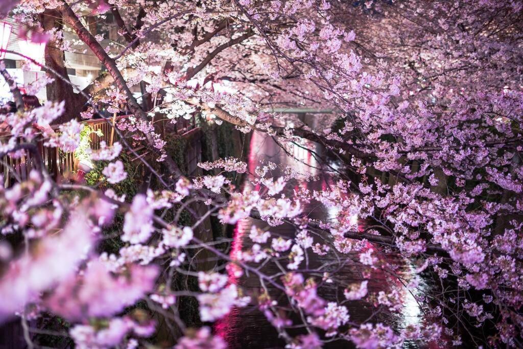 Tokyo'S Best Spot Shibuya! 3Person Room Free Wi-Fi Extérieur photo
